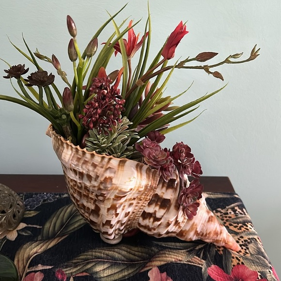 Shell Art Triton Trumpet Shell Faux Floral Planter Decor - Picture 5 of 10